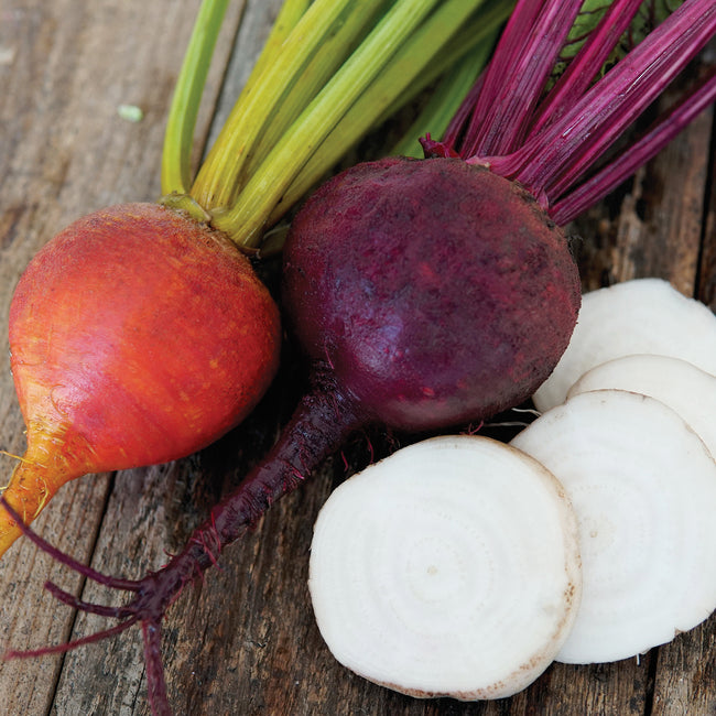 AUTUMN HARVEST BLEND-BEET