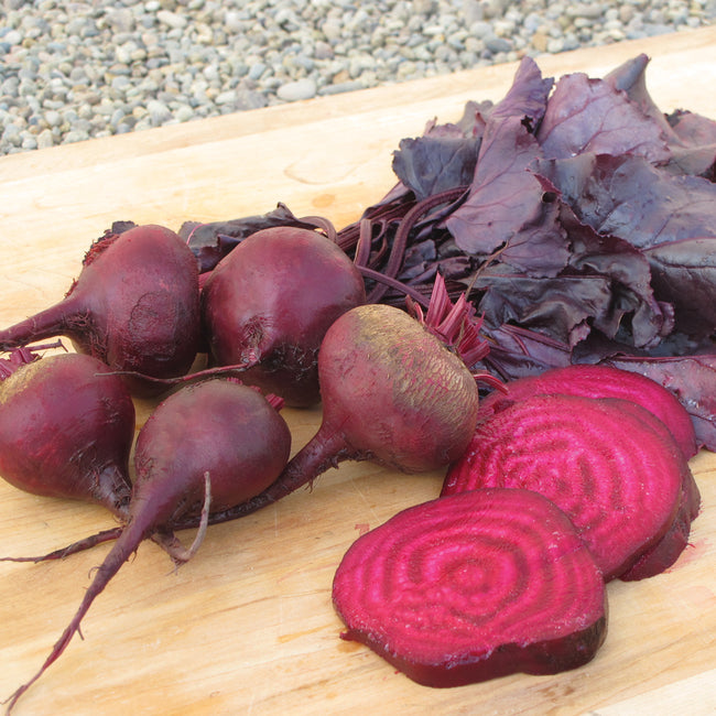 BULL'S BLOOD-BEET
