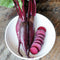 CYLINDRA-BEET
