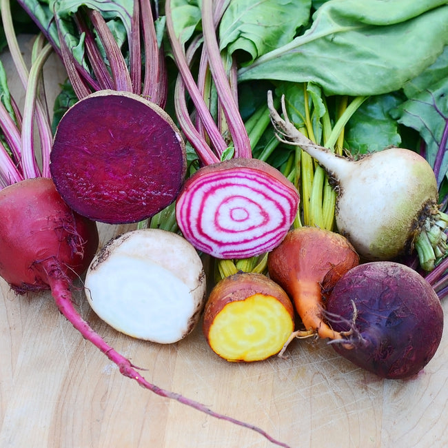 SPRING COLOR BLEND-BEET