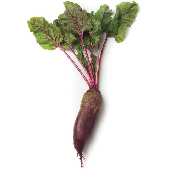 CARILLON-BEET