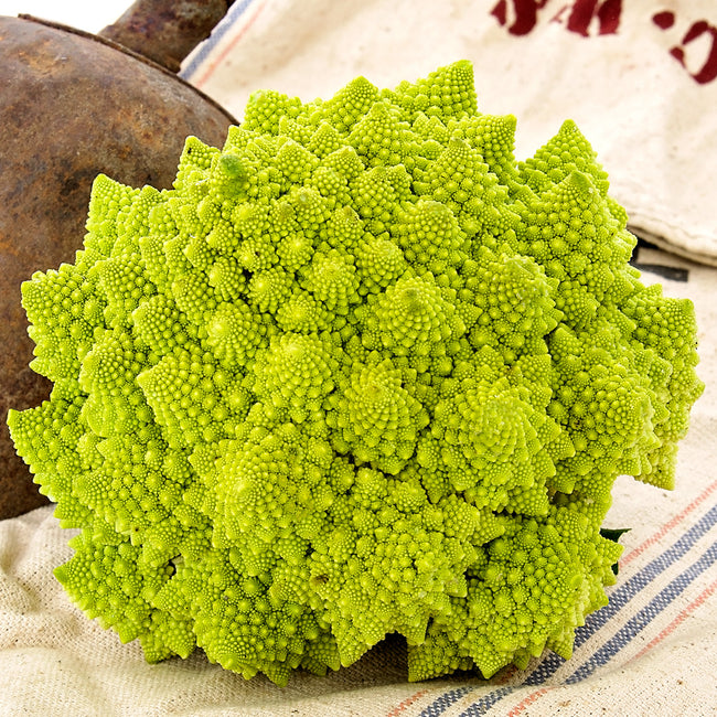 VERONICA-CAULIFLOWER