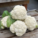 ODYSSEUS-CAULIFLOWER