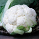 TWISTER-CAULIFLOWER
