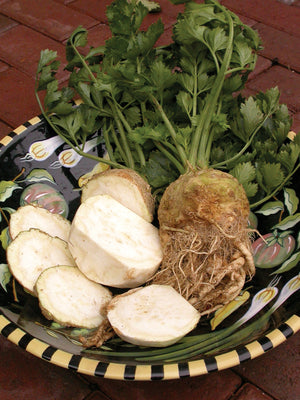 BRILLIANT-CELERIAC