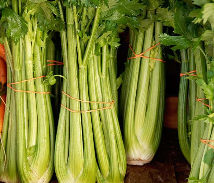 TANGO-CELERY
