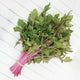 CHINESE PINK-CELERY