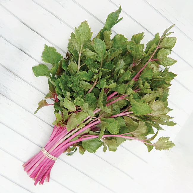CHINESE PINK-CELERY