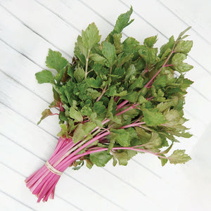 CHINESE PINK-CELERY