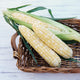 SWEETNESS-CORN