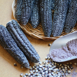 HOOKER'S SWEET INDIAN-CORN