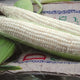 SILVER QUEEN-CORN
