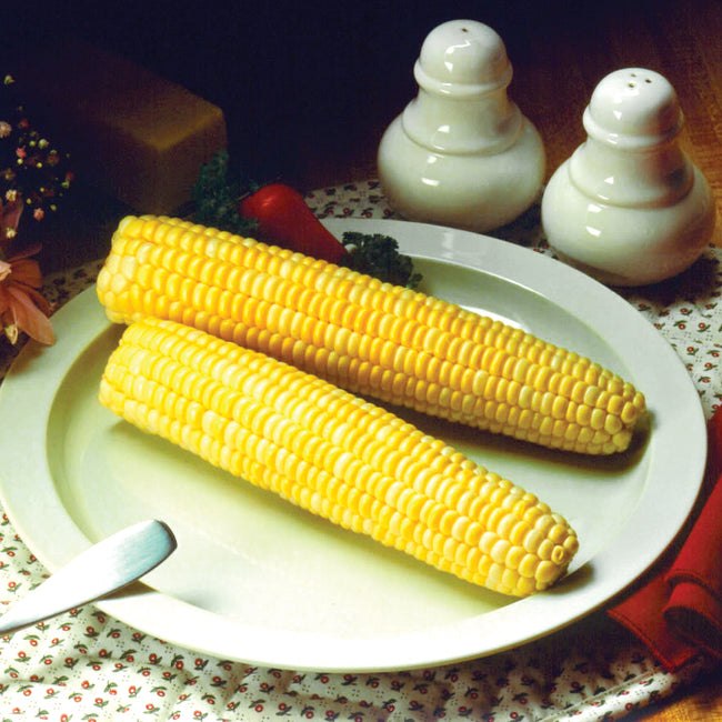 HONEY & CREAM-CORN