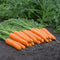 NAVAL-CARROT