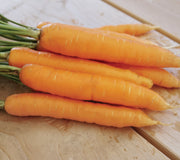 ADANA-CARROT