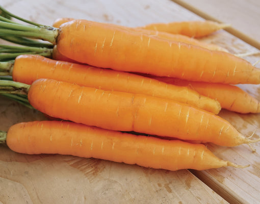 ADANA-CARROT