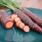 DRAGON-CARROT
