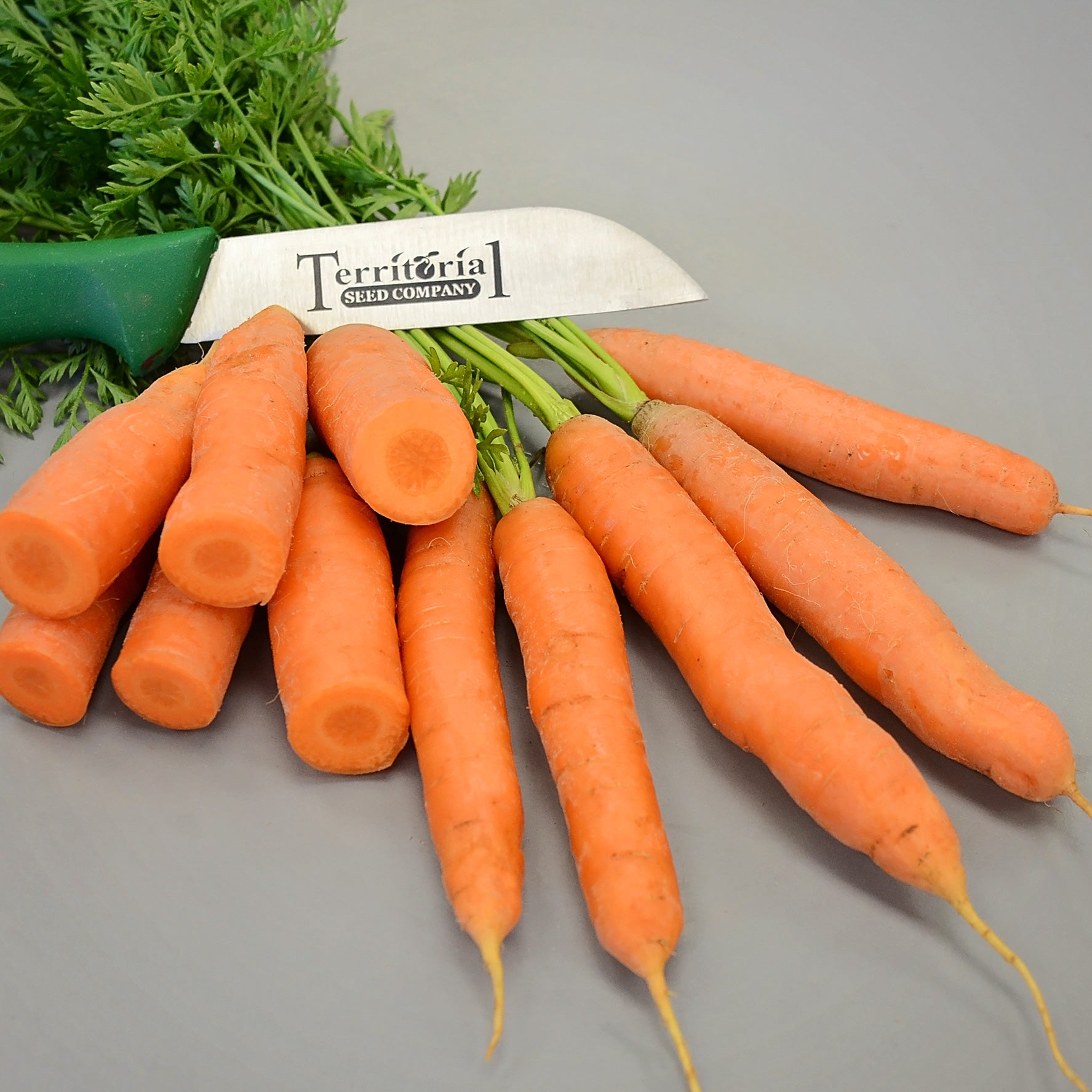 Yaya Carrot Seed - Thumbnail 2