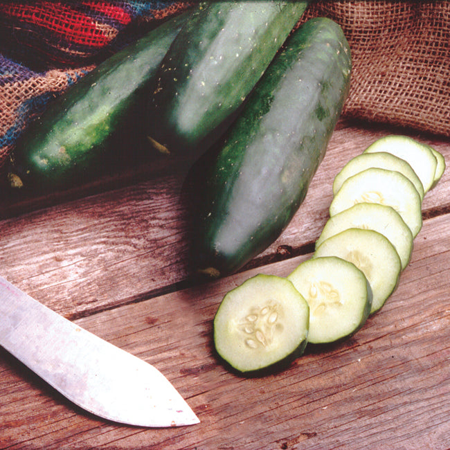 MARKETMORE 97-CUCUMBER