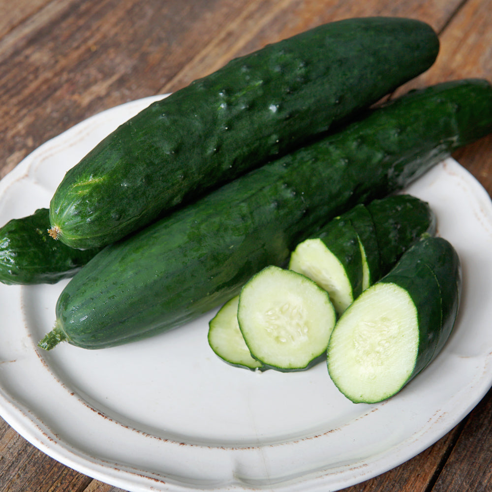 Paraiso Cucumber - Thumbnail 2