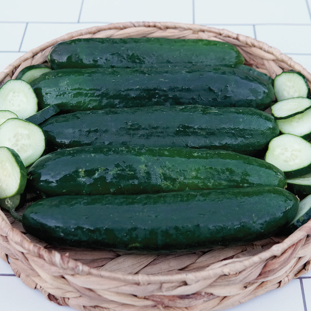 Territorial Seed Company Cucumber - Thumbnail 3