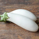SNOWY-EGGPLANT