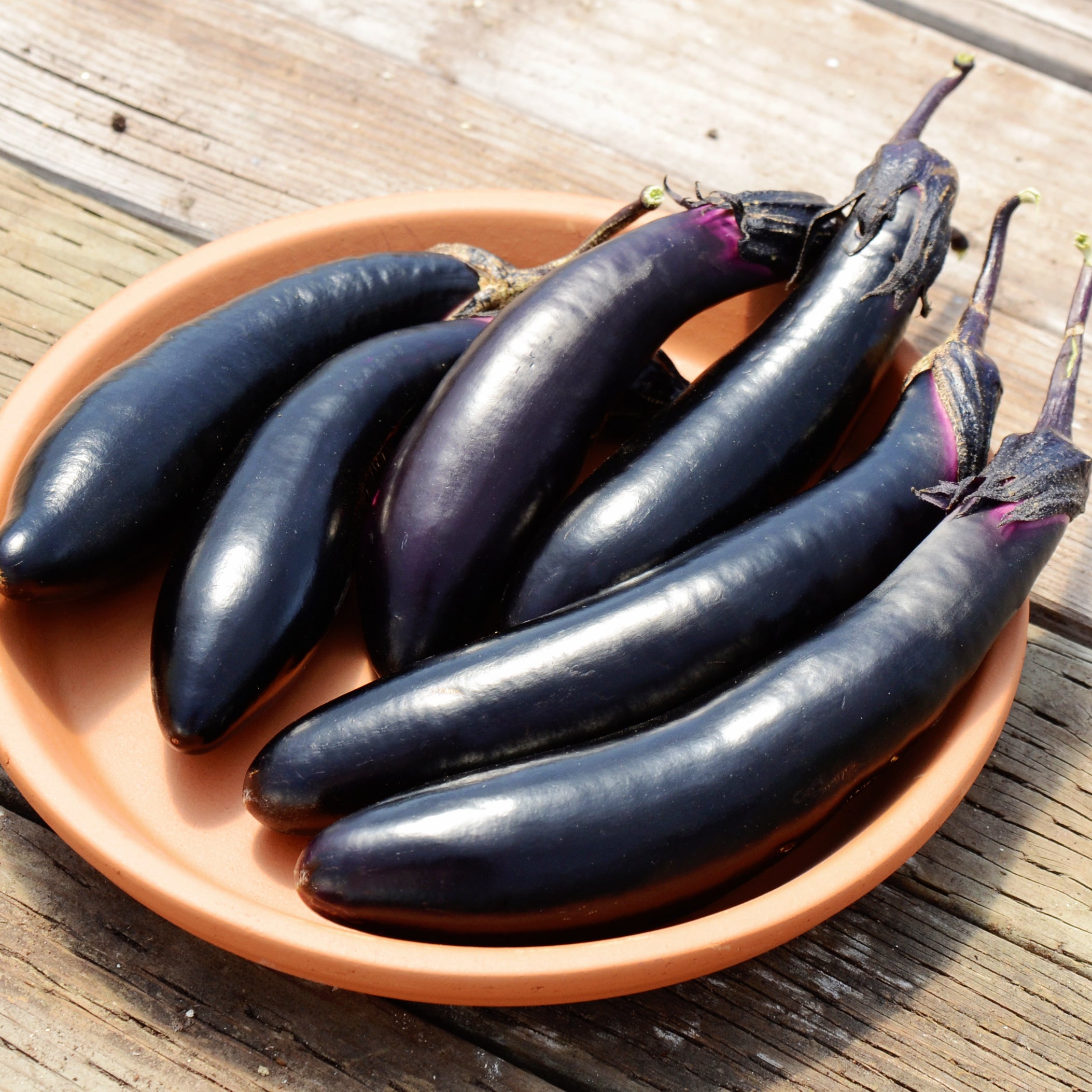 Millionaire Hybrid Eggplant, Eggplant: Vermont Bean