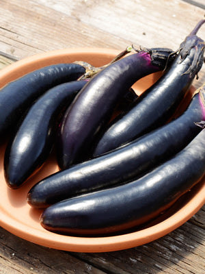 MILLIONAIRE-EGGPLANT