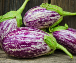 LISTADA DE GANDIA-EGGPLANT