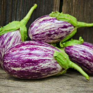 LISTADA DE GANDIA-EGGPLANT