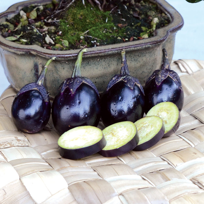 PATIO BABY-EGGPLANT