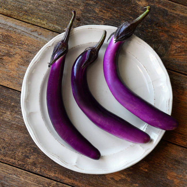 PING TUNG LONG (JAPANESE PICKLING)-EGGPLANT