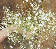 COVENT GARDEN-BABY’S BREATH