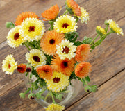 CANTALOUPE-CALENDULA