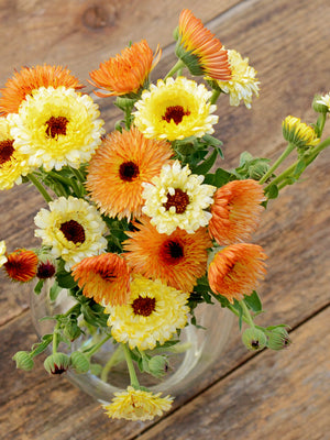 CANTALOUPE-CALENDULA