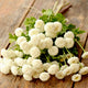 VEGMO SNOWBALL EXTRA-FEVERFEW