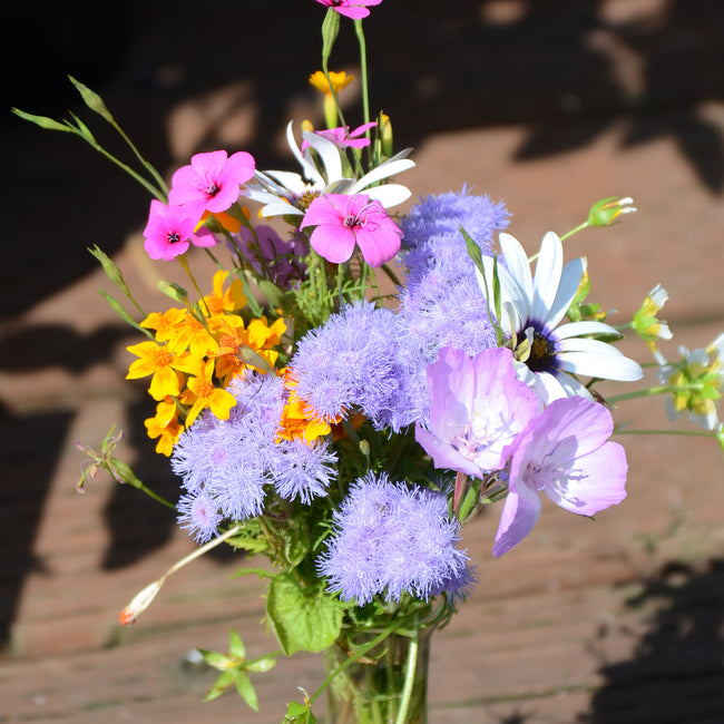 BOHEMIAN RHAPSODY MIX-MIX