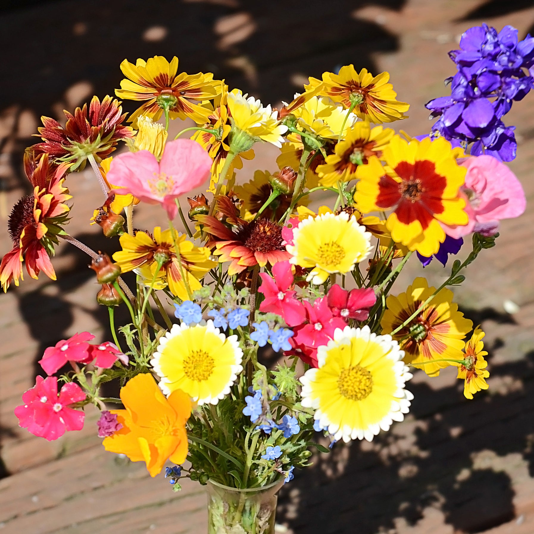 Territorial Seed Company Bee Feed Mix