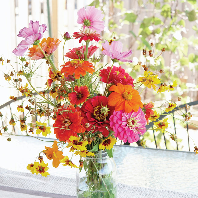 MONARCH BUTTERFLY GARDEN MIX