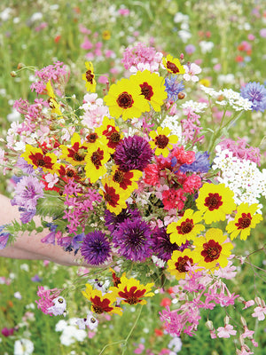 A BOUQUET EVERY DAY CUTTING GARDEN FLOWER MIX-MIX