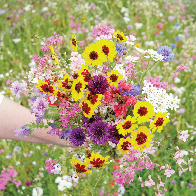 A BOUQUET EVERY DAY CUTTING GARDEN FLOWER MIX-MIX