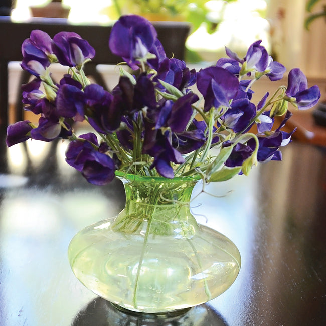 KING SIZE NAVY BLUE-SWEET PEA