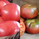 GRAFTED DOUBLE BRANDYWINE/CHEROKEE PURPLE-TOMATO