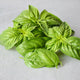 SWEET BASIL-BASIL
