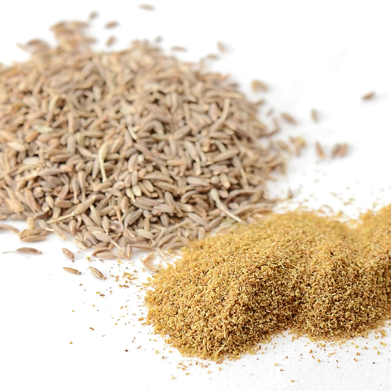 buy cumin seeds for planting Cumin