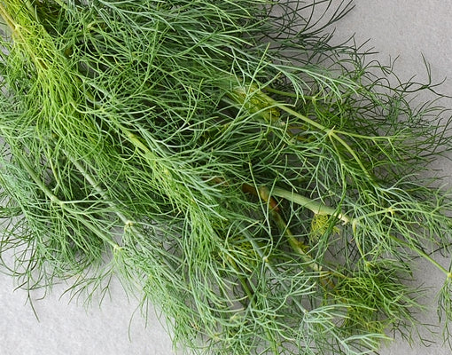 DUKAT-DILL