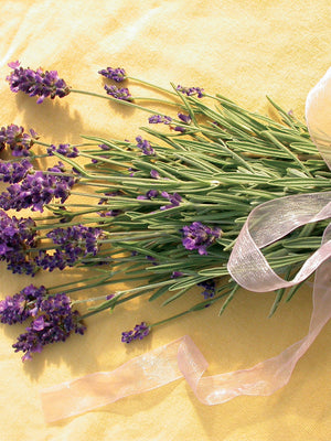 ELLAGANCE PURPLE-LAVENDER