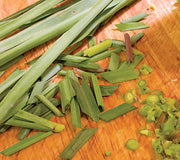 LEMONGRASS-LEMONGRASS