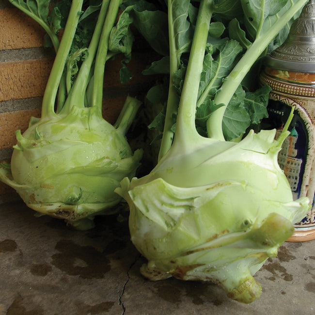 SUPERSCHMELZ-KOHLRABI