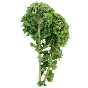 IMPROVED DWARF SIBERIAN-KALE